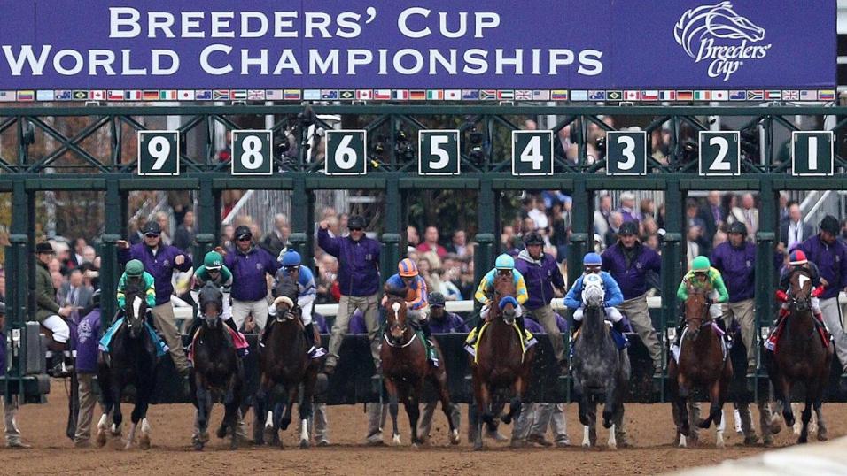 Horses breaking from the stalls